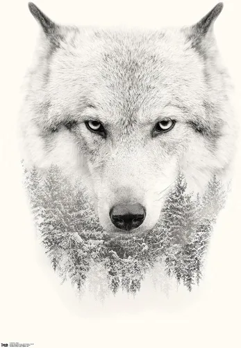 Vista 8 de Trends International Póster de pared de lobo - árboles, 14.725 x 22.375 pulgadas, versión enmarcada de madera de granero Versión enmarcada Barnwood