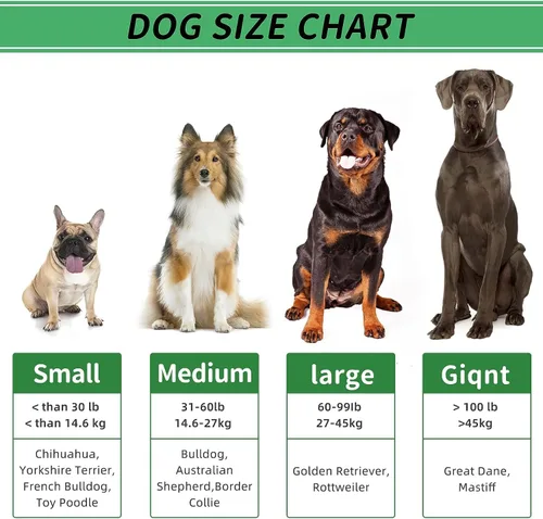 Vista 5 de Regalos de Navidad para perros, juguetes para perros pequeños, cepillo de dientes para limpieza de dentición, juguetes chirriantes de goma