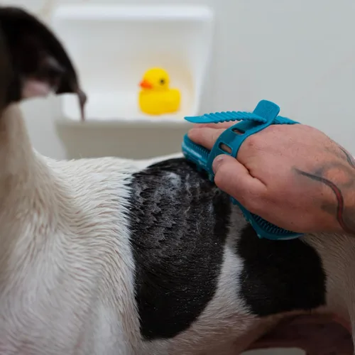 Vista 5 de Messy Mutts Cepillo reversible de silicona de doble cara para mascotas Masaje suave, cepillado, baño y herramienta de eliminación de pelo de perro