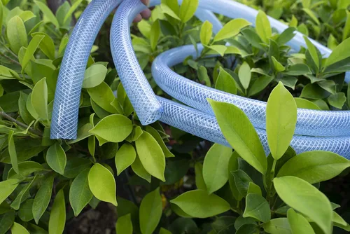 Vista 5 de Tubo de PVC trenzado transparente de alta presión, flexible, 1/2" DI, 10 pies