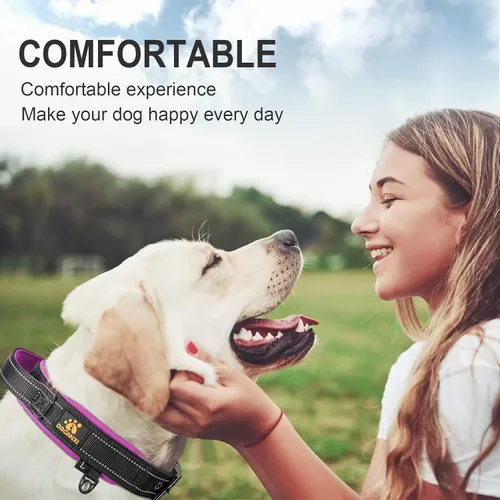 Vista 3 de DAGANXI Collar para perro, ajustable, de neopreno suave, acolchado, transpirable, tira reflectante, collar de nailon para perros pequeños, medianos