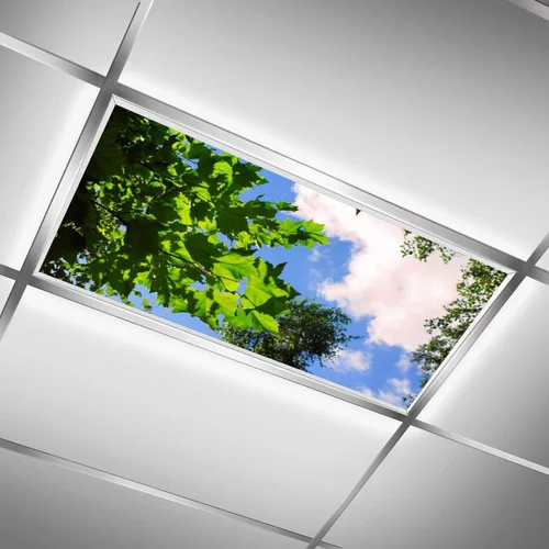 Vista 18 de Inserto de Cubierta de Luz de Techo Suspendido 4' x 2' pies (Naturaleza Bosque Hojas de Bambú Sol Verde) - Cubierta de Luz Fluorescente Reduce