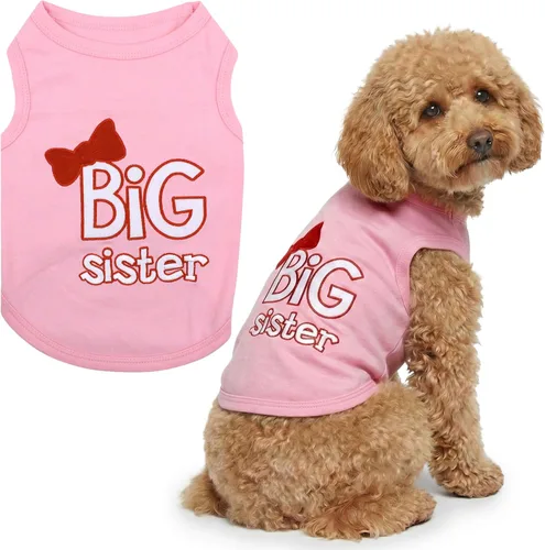 Vista 41 de Parisian Pet - Camiseta para perros y gatos, con texto en inglés Big Sister, 2XS