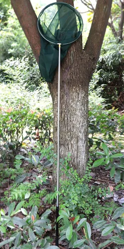 Vista 6 de RESTCLOUD Red profesional para insectos y mariposas con anillo de 14 pulgadas, profundidad neta de 26 pulgadas, mango telescópico de 59 pulgadas que