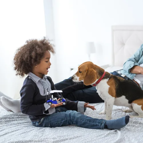 Vista 3 de IMIKEYA Carrito de golf: Carro de golf modelo de metal fundido a presión Mini 1:20 Escala Carro de golf Modelo de carrito de golf Carro de golf