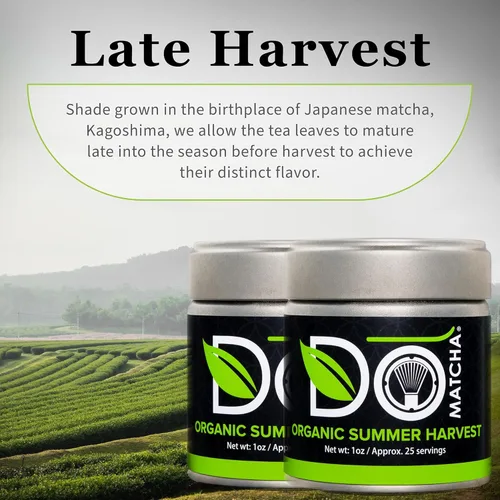 Vista 7 de DOMATCHA Matcha de cosecha de verano orgánico, 30 GR