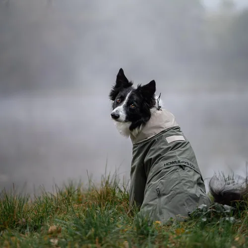 Vista 3 de Midnight Forest - Chaqueta impermeable para perro, ligera y ajustable, impermeable para perro con capucha plegable, talla mediana 50 (S)