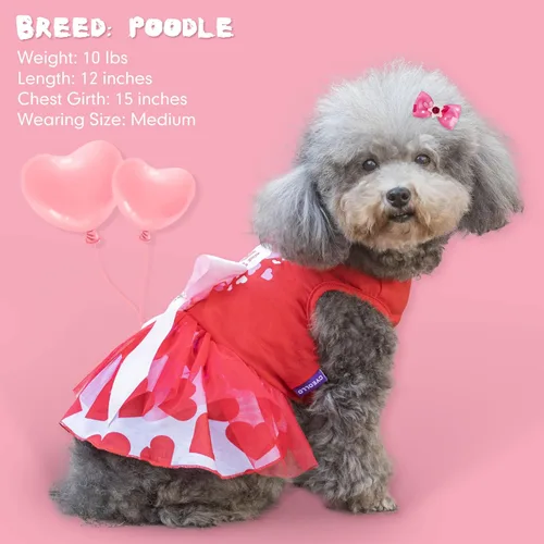 Vista 6 de cyeollo Vestido para perro para el día de San Valentín, ropa de vacaciones para perros con estampado de corazón, vestidos de tul para perros
