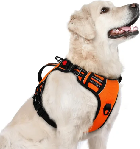 Vista 19 de rabbitgoo Arnés para perro de tamaño pequeño, arnés para mascotas sin tirones con mango acolchado suave, chaleco reflectante ajustable con 3