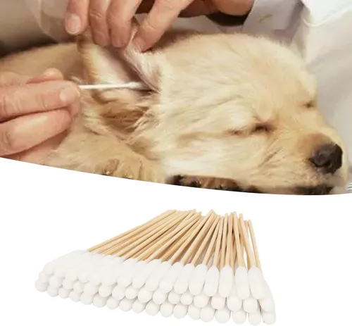 Vista 4 de 100 bastoncillos de algodón para perros y gatos, puntas de 6 pulgadas de largo, eliminación profesional de la suciedad de bambú para mascotas