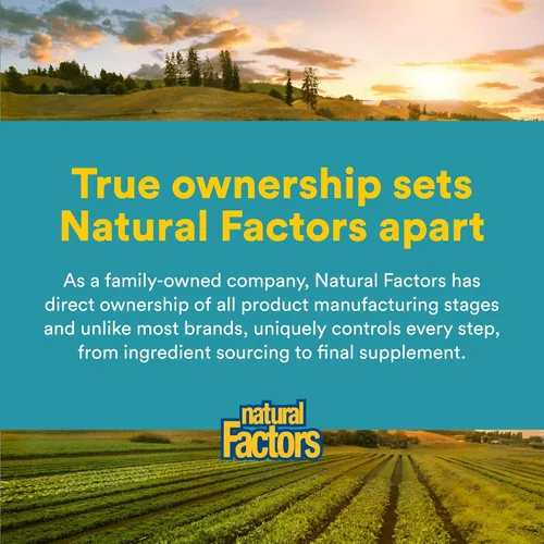 Vista 7 de Natural Factors - Fosfatidilcolina (PC) 420 mg, apoya la función hepática saludable, 90 geles blandos