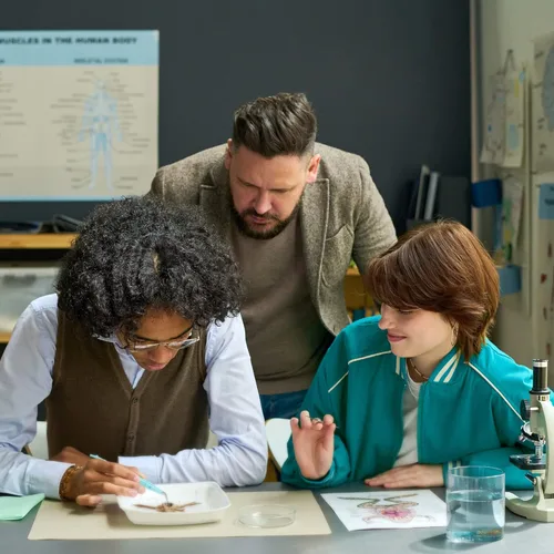 Vista 2 de Anatomy Lab Muestra de riñón de oveja preservada para disección, para aulas de biología, paquete de 1