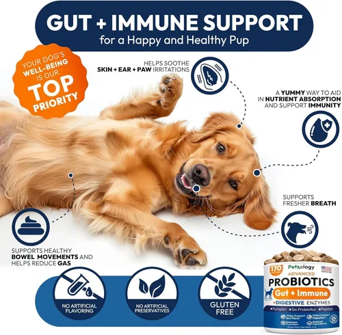 Vista 4 de (Paquete de 2) Probióticos para Perros - 340 Masticables Probióticos para Perros - Enzimas Digestivas y Prebióticos - Apoyan la Salud Intestinal